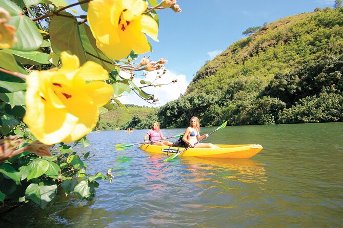 Kauai: Secret Falls Kayak and Hike - What the $125 price really covers