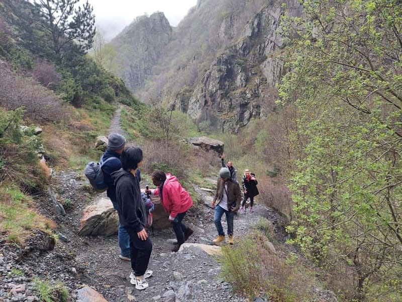 Kazbegi: Gveleti Waterfall Guided Hike - Walking through the green gorge