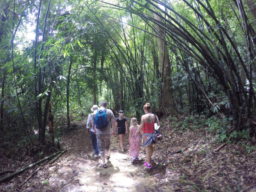 Khao Lak: Little Amazon Canoe Ride & Tam Nang Waterfall Tour - Who should book this half-day trip?