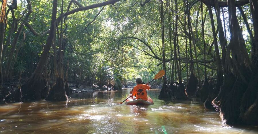 Khao Lak: Little Amazon Canoe Ride & Tam Nang Waterfall Tour - From Khao Lak to Takuapa’s Little Amazon