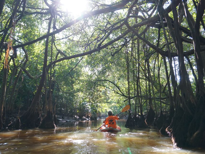 Khao Lak: Little Amazon Canoe Ride & Tam Nang Waterfall Tour - The guides are a major part of the value