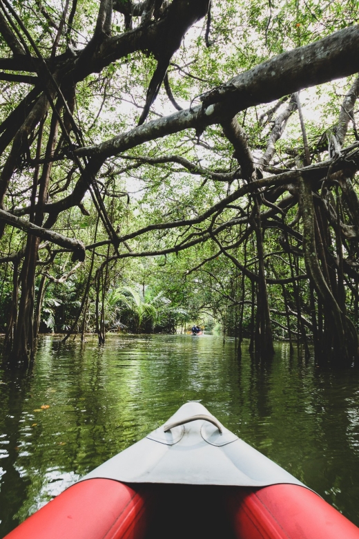 Khao Lak: Little Amazon Canoe Ride & Tam Nang Waterfall Tour - How much wildlife should you expect?