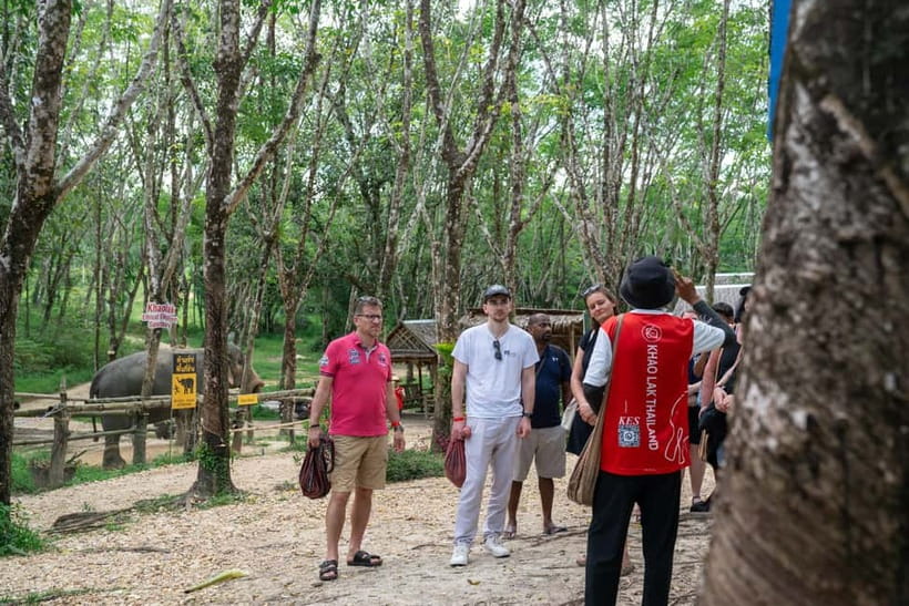 Khao Lak’s Best: Elephant Sanctuary,Rubber Tapping&Waterfall - Sai Rung Waterfall in the final 30 minutes