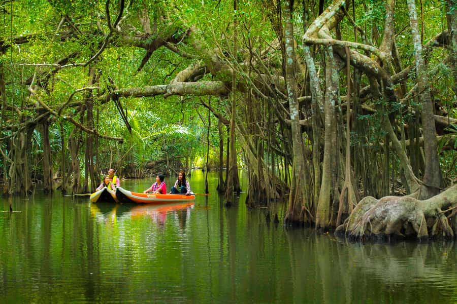 Khao Lak's Little Amazon: Canoe, Trek & Waterfall Day Trip - Canoeing Under Banyan Trees at the Little Amazon