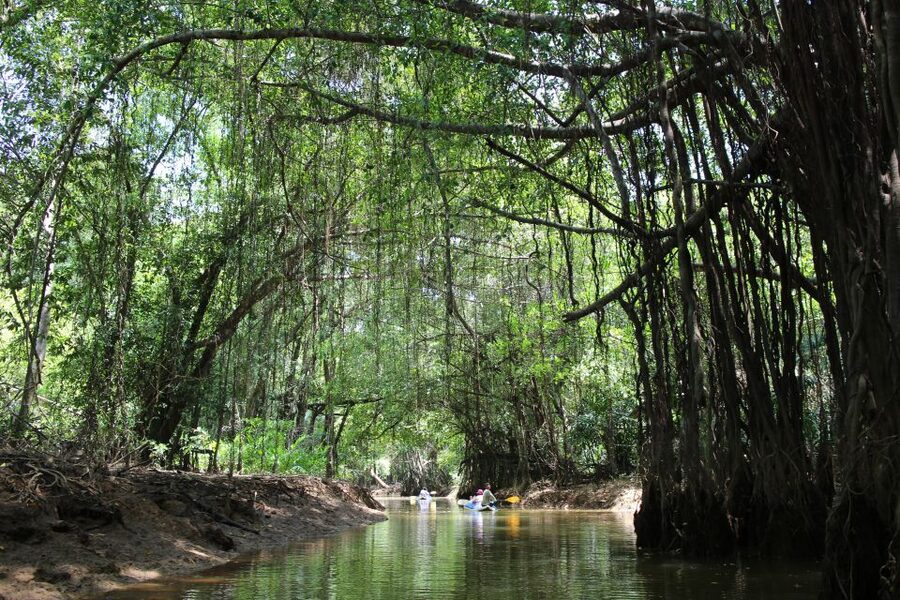 Khao Lak: Sri Phang Nga Canoe and Tam Nang Waterfall Tour - Key points at a glance