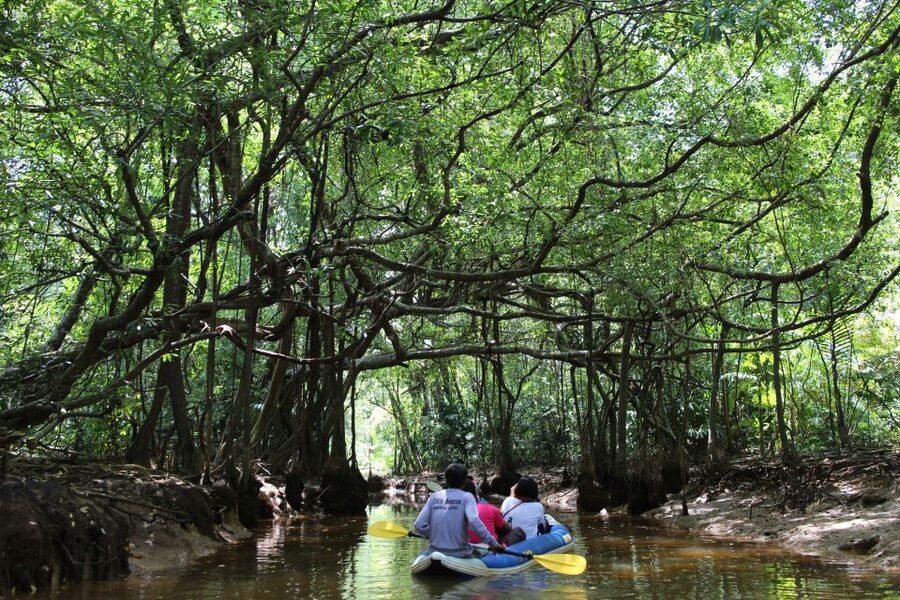 Khao Lak: Sri Phang Nga Canoe and Tam Nang Waterfall Tour - Why this Khao Lak day trip works
