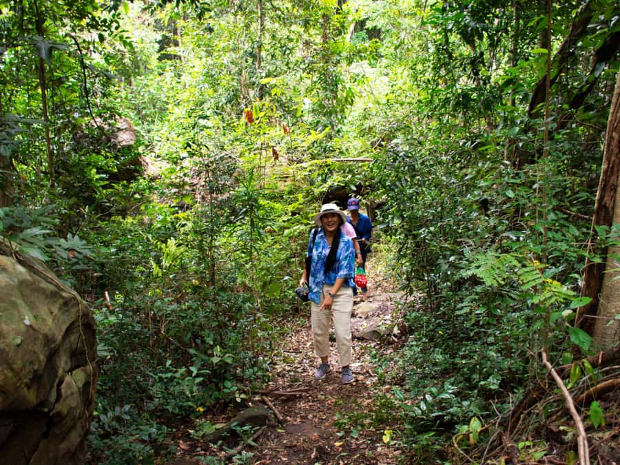 Khao Sok: Private Jungle Trek, Waterfall Swim & Bamboo Lunch - Following the forest trail with a sharp-eyed guide