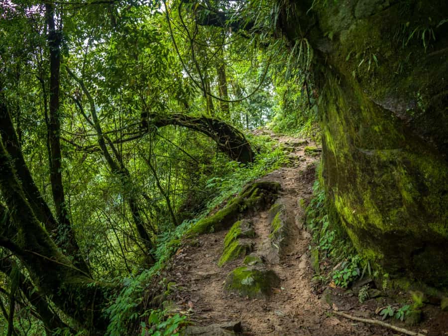 Khao Sok: Private Jungle Trek, Waterfall Swim & Bamboo Lunch - Booking details that matter