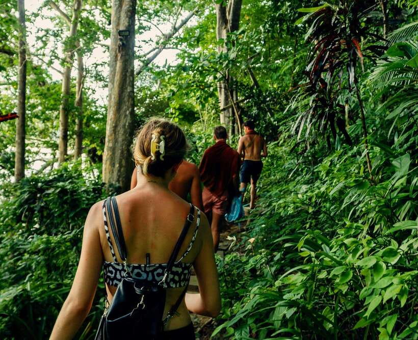 Khao Sok: Private Waterfalls and Wildlife Half-Day Trek - What this four-hour Khao Sok trek is really about