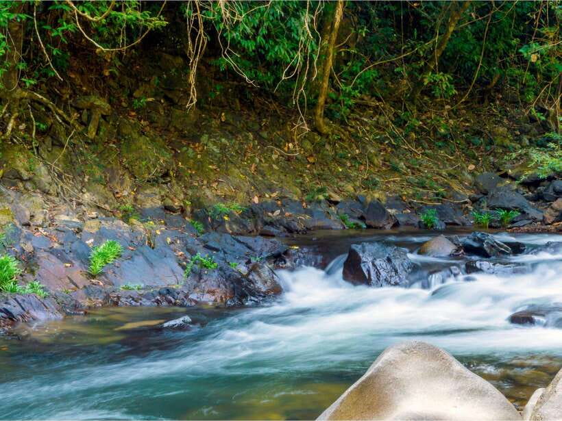 Khao Sok: Private Waterfalls and Wildlife Half-Day Trek - Bang Hua Raet and Wing Hin waterfalls provide the cool-down