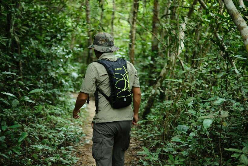 Khao Sok: Private Waterfalls and Wildlife Half-Day Trek - Is $48 good value for four hours?
