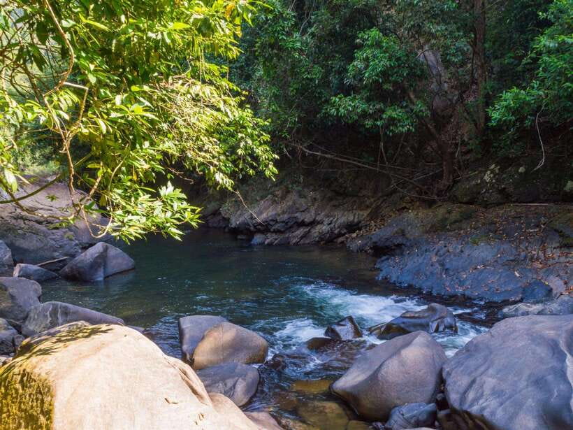 Khao Sok: Private Waterfalls and Wildlife Half-Day Trek - Who should book, and who should choose a longer outing?