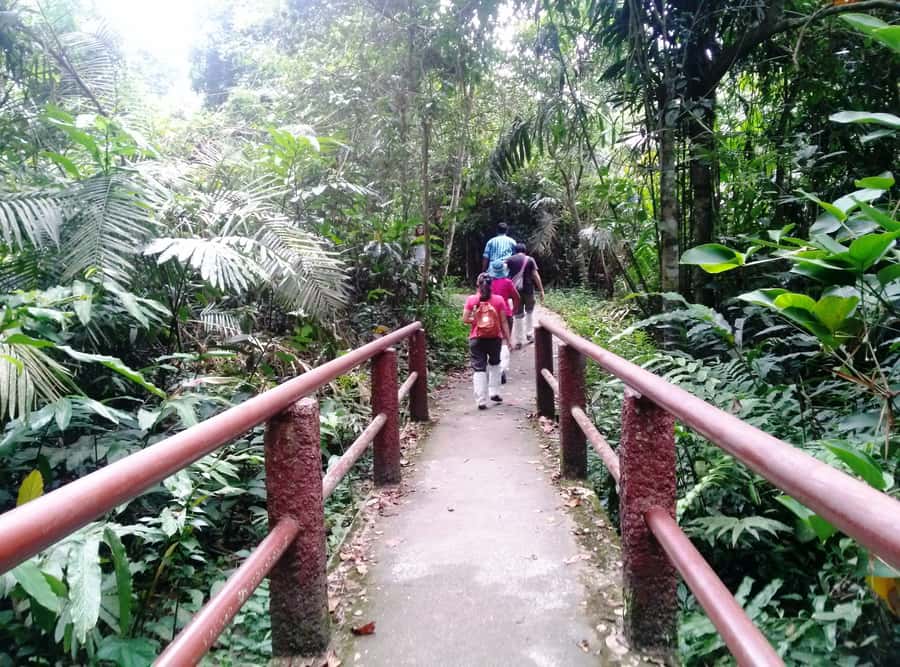 Khao Yai National Park: Waterfalls - Heaw narok & Heaw Suwat - Should you book the Khao Yai waterfall tour?