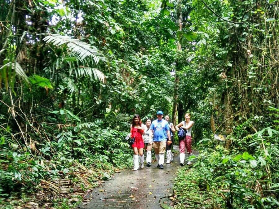 Khao Yai National Park: Waterfalls - Heaw narok & Heaw Suwat - Hiking to Haew Narok, Khao Yai’s biggest waterfall