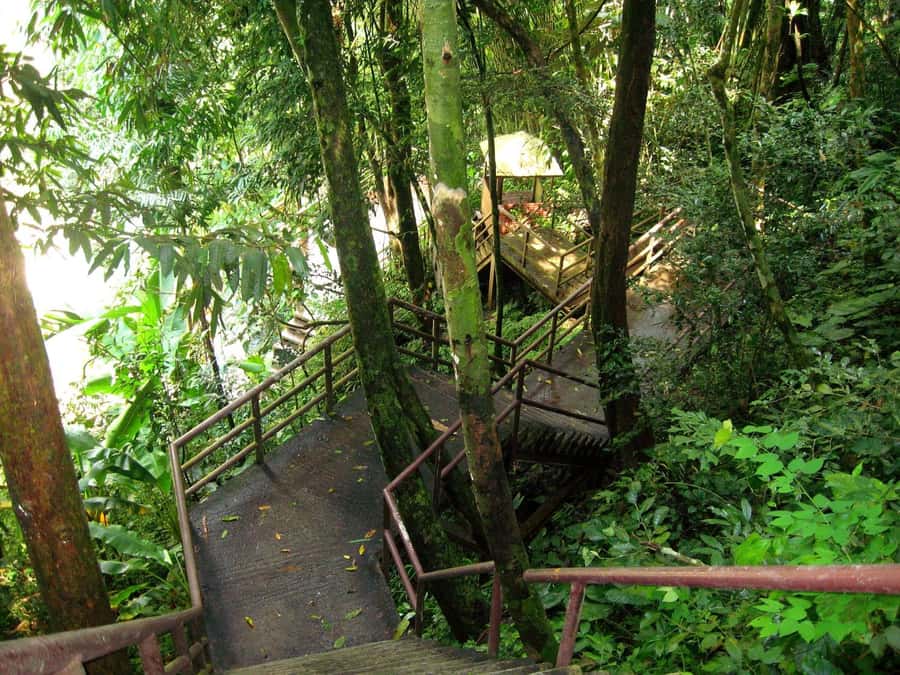 Khao Yai National Park: Waterfalls - Heaw narok & Heaw Suwat - Haew Suwat and the famous movie connection