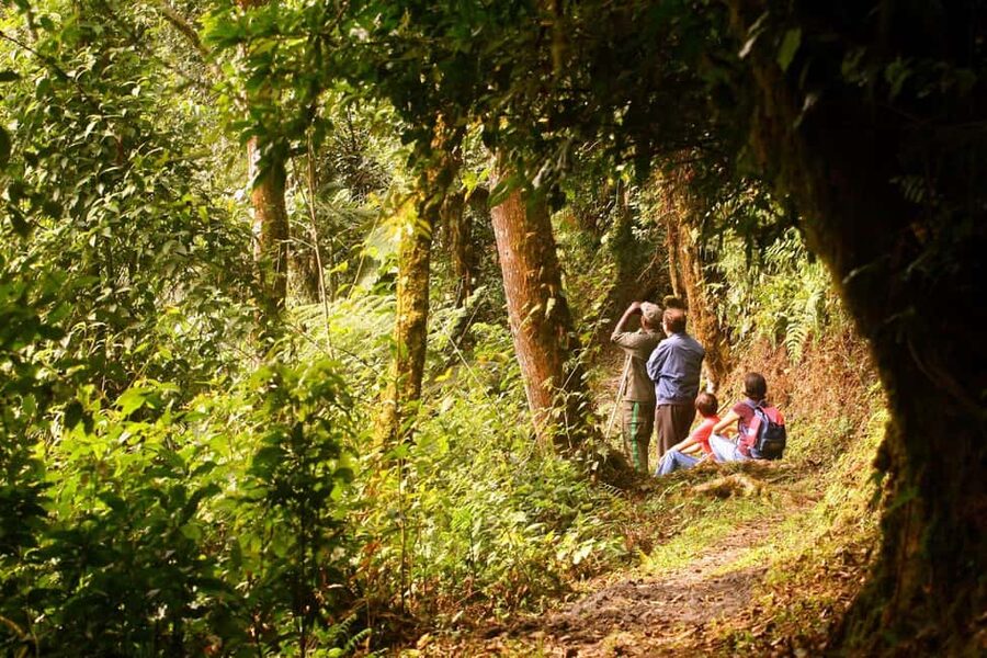 Kigali:1 Day Nyungwe Canopy Walk & Waterfall Tour adventure - The long road from Kigali to Nyungwe