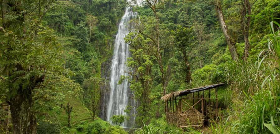 Kilimanjaro: Maasai Village Visit, Waterfalls, & Coffee Tour - Is $185 a fair price?