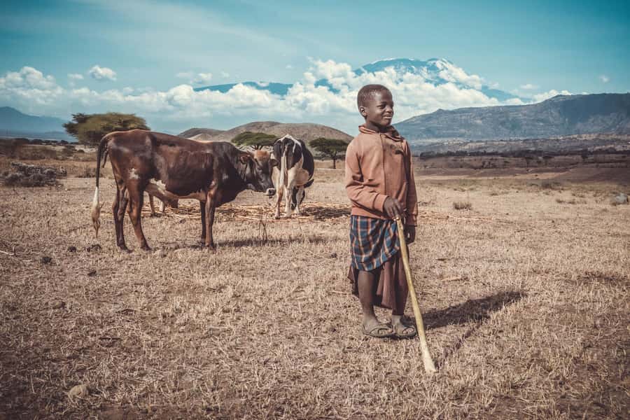 Kilimanjaro: Maasai Village Visit, Waterfalls, & Coffee Tour - Walking through Materuni village to the waterfall