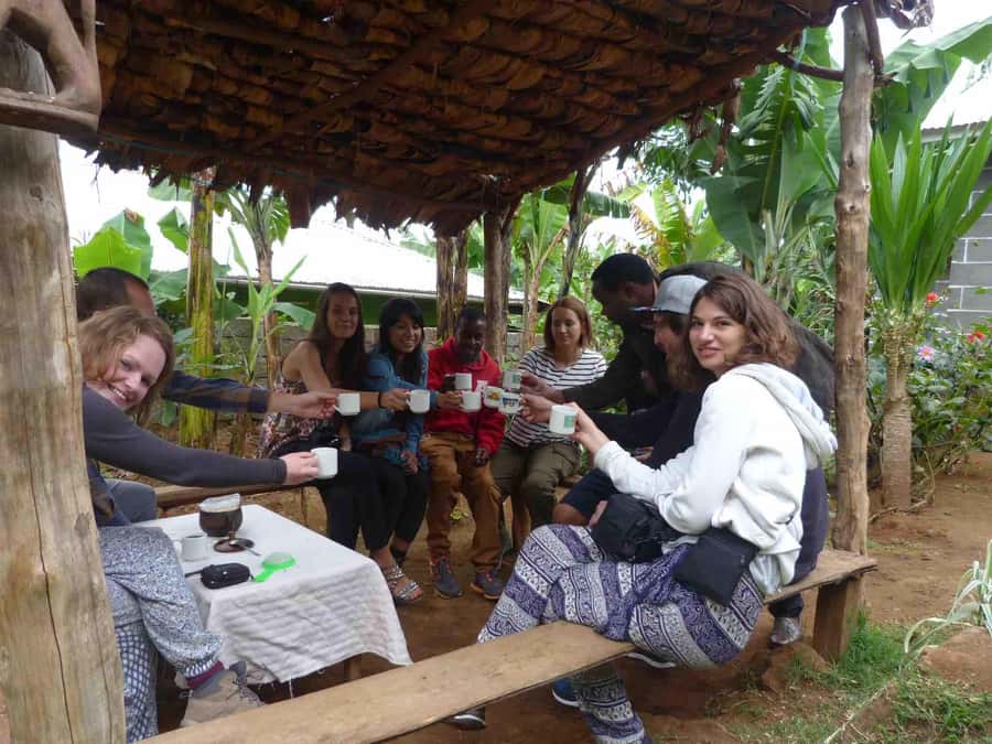 Kilimanjaro: Village Walk, Coffee Tour, Waterfall, and Lunch - Who should book this Materuni experience?