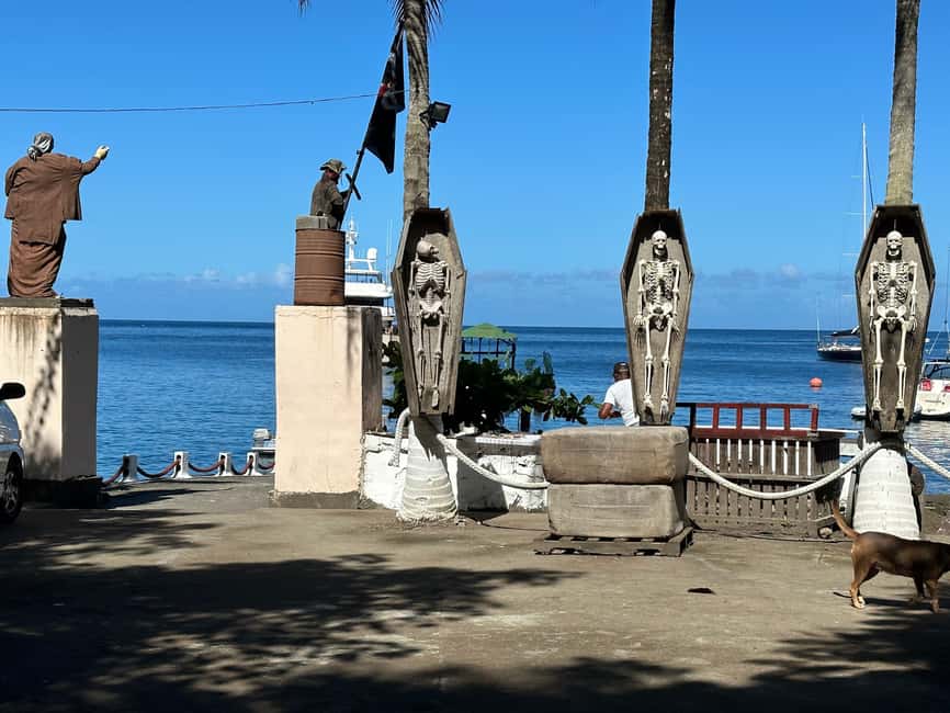 Kingstown: Cascading Dark View Falls and Beach Tour - Who will enjoy this Saint Vincent outing?
