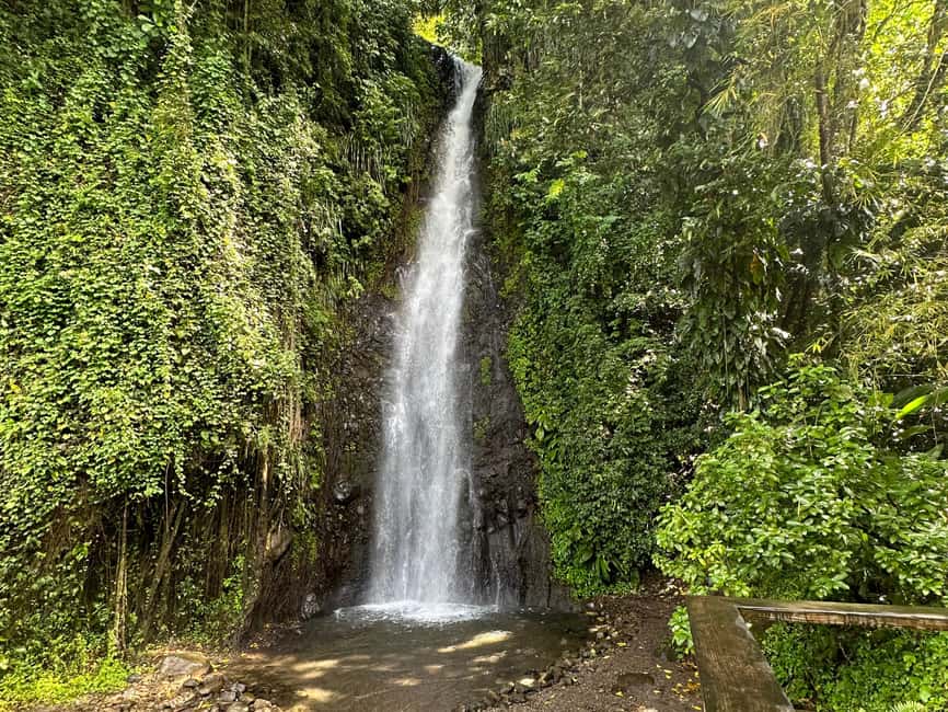 Kingstown: Cascading Dark View Falls and Beach Tour - Layou and Barrouallie: quick stops with a local feel