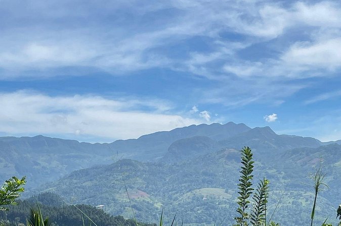 Knuckles five Peaks hiking and Waterfall - Booking details and cancellation terms