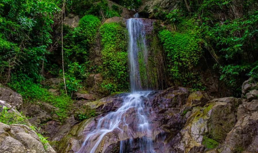 Ko Samui: Tree Bridge Jungle Zipline and Waterfall Adventure - Why this Koh Samui adventure works