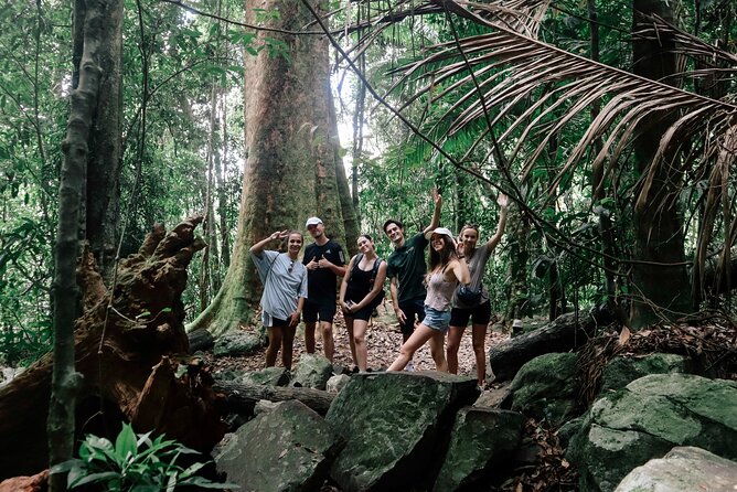 Koalas, 6 Springbrook Waterfalls and Natural Bridge Day Tour - Goomoolahra Falls offers a quieter pause