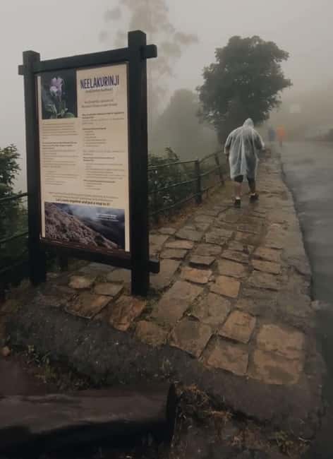 Kochi to Munnar: Eravikulam, lockhart & Waterfalls day tour - Three hours among the hills of Eravikulam