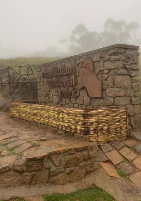 Kochi to Munnar: Eravikulam, lockhart & Waterfalls day tour - Lunch in Munnar, with Kerala on the plate