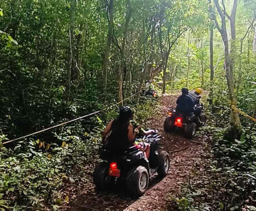 Koh Samui: Jungle, Mountains and Waterfalls ATV Tour - Timing, pickup, and cancellation advice