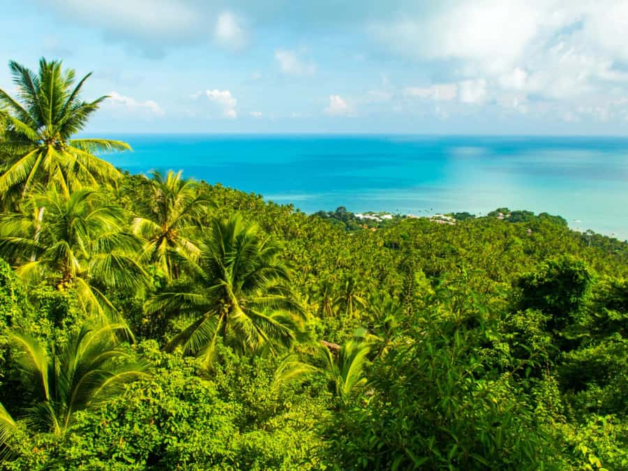 Koh Samui: Jungle, Mountains and Waterfalls ATV Tour - Riding through Koh Samui’s jungle hills