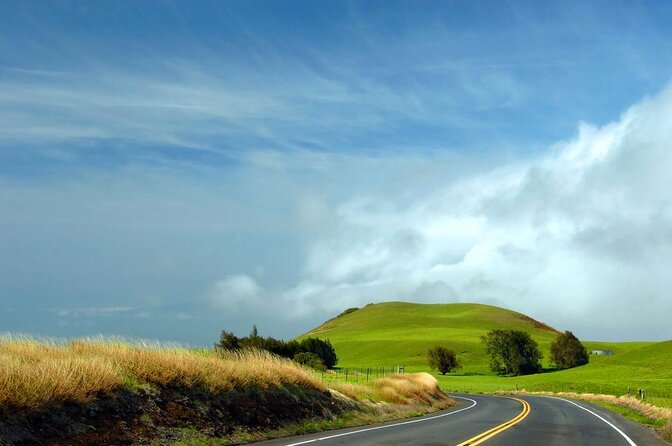 Kohala Waterfalls Small Group Adventure Tour - Key things to know before you book