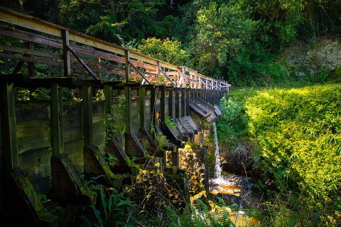 Kohala Waterfalls Small Group Adventure Tour - Seeing several waterfalls before the swim