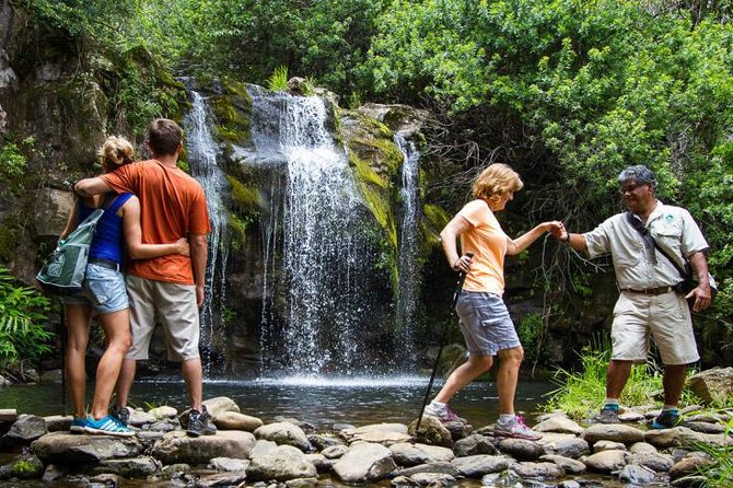 Kohala Waterfalls Small Group Adventure Tour - Is $267.02 a fair price?