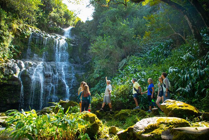 Kohala Waterfalls Small Group Adventure Tour - A gentle hike through private Kohala land