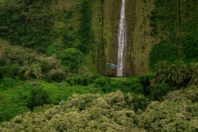 Kohala Waterfalls with Exclusive Landing Helicopter Tour - What to know before you arrive at the heliport