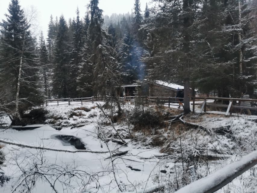 Korouoma Canyon Frozen Waterfalls Hike & Private Teepee BBQ - Why Korouoma is worth the long winter outing