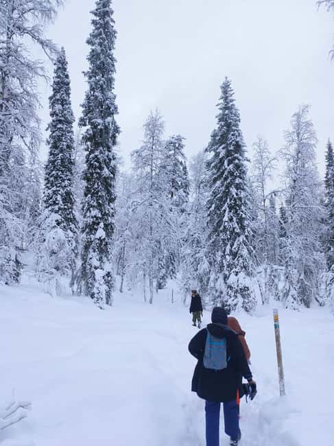 Korouoma Canyon Frozen Waterfalls Hike & Private Teepee BBQ - The drive from Rovaniemi to the canyon