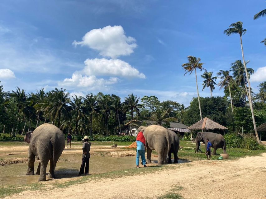Krabi: Elephant Bathing and Huay Tho Waterfall Day Trip - What this six-hour Krabi tour is really offering