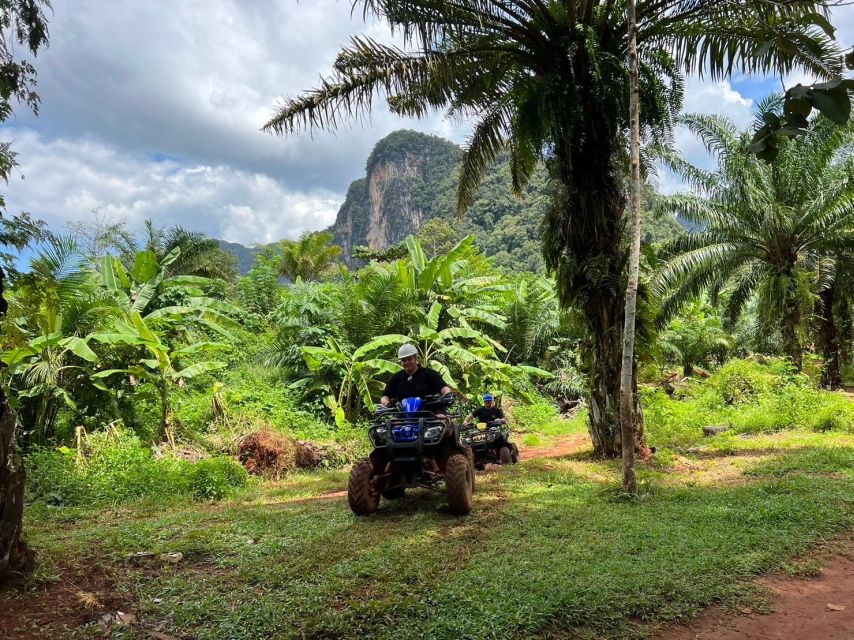 Krabi: Elephant Bathing and Huay Tho Waterfall Day Trip - Meeting the elephants at Ao Nang Elephant Sanctuary