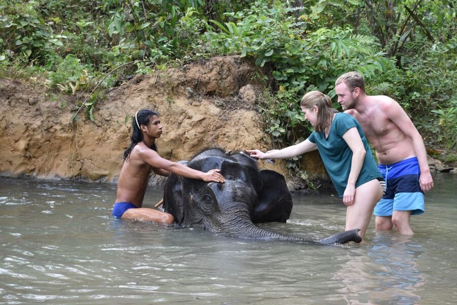 Krabi: Elephant Care House & 7-Level Huay Tho Waterfall Trip - Should you book the Elephant Care House and Huay Tho Waterfall trip?