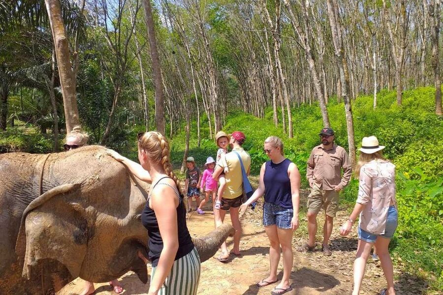 Krabi: Elephant Care House & 7-Level Huay Tho Waterfall Trip - Meeting the elephants at the care house
