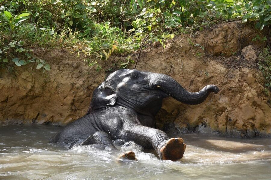 Krabi: Elephant Care House & 7-Level Huay Tho Waterfall Trip - The seven levels of Huay Tho Waterfall