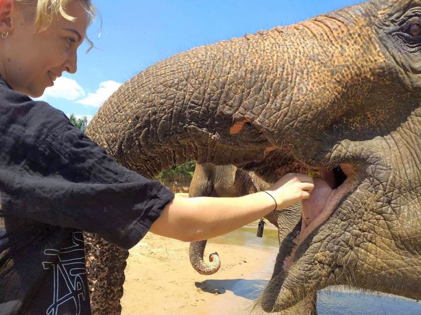 Krabi: Elephant Care House & 7-Level Huay Tho Waterfall Trip - What the $77 price includes