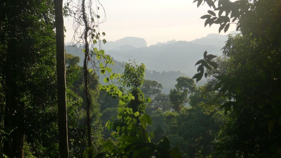 Krabi: Elephant Care House & 7-Level Huay Tho Waterfall Trip - Who should book this experience