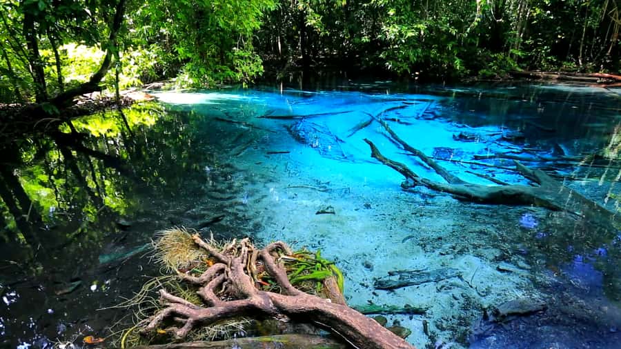 Krabi: Emerald Pool and Hot Spring Waterfall with ATV Riding - Key points before you book