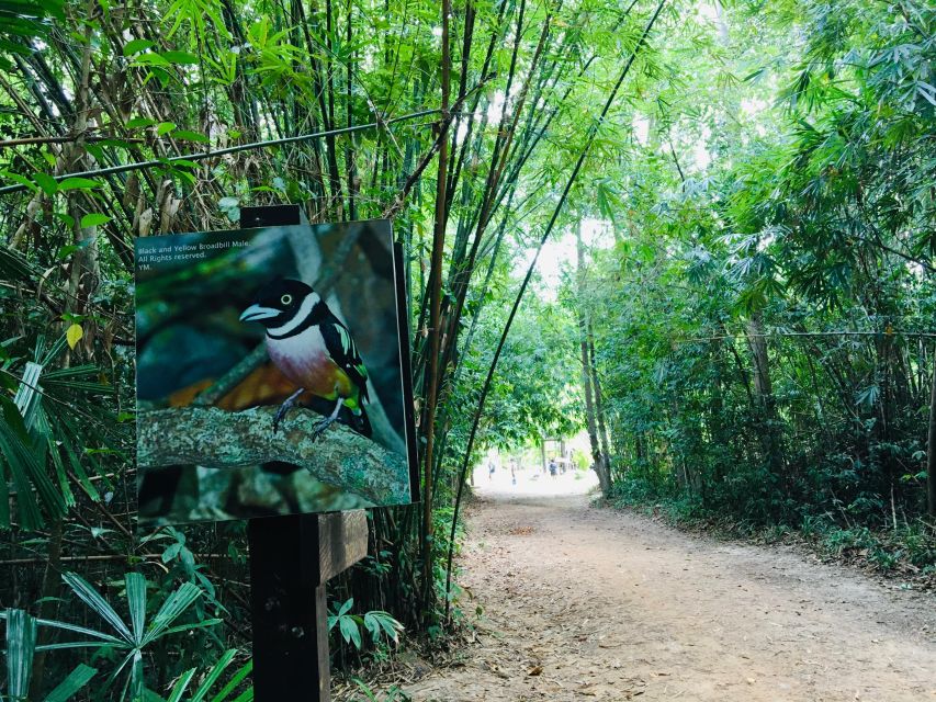 Krabi: Emerald Pool and Hot Spring Waterfall with ATV Riding - Transport, timing, and the value of seven hours
