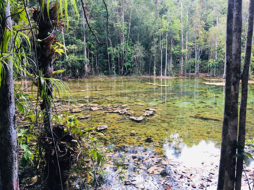 Krabi: Emerald Pool and Hot Springs Waterfall Half-Day Trip - Walking through Khao Phra Bang Khram Nature Reserve