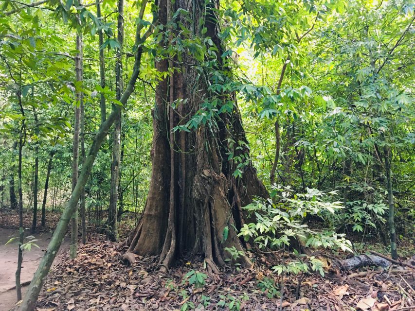 Krabi: Emerald Pool and Hot Springs Waterfall Half-Day Trip - Emerald Pool: the main event